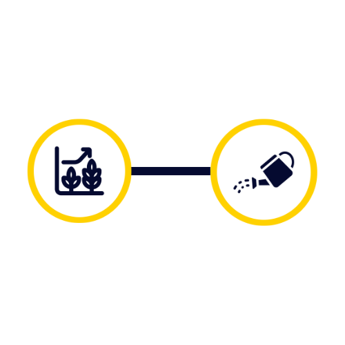 Conduite des séances en coaching avec Parlons-nous, société de coaching, supervision et formation à Angers (49)